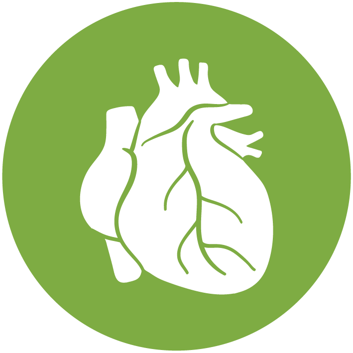 CARDIOVASCULAR icon