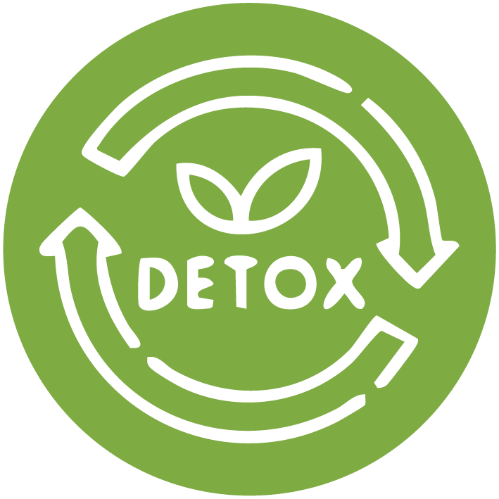 DEPURATIVO - DETOX icon