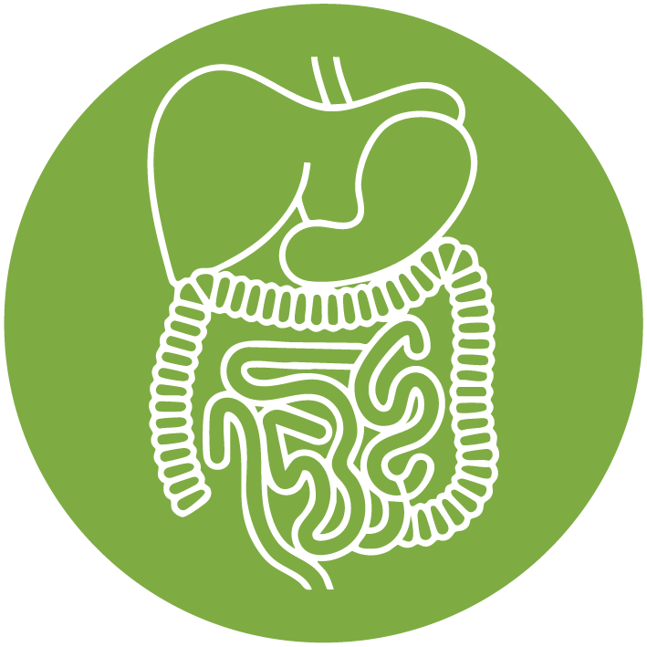 DIGESTIVO icon