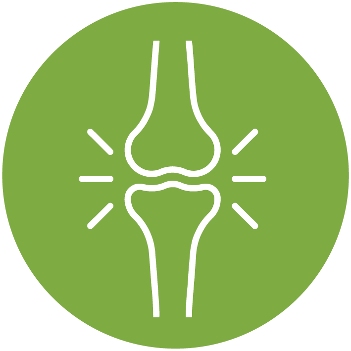 HUESOS Y ARTICULACIONES icon