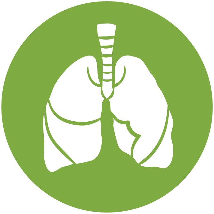 RESPIRACIÓN icon