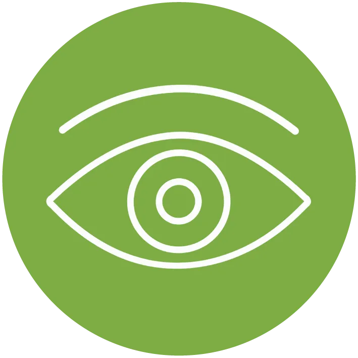 VISIÓN icon