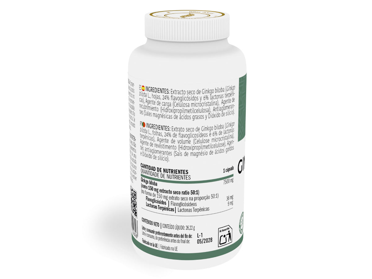 Ginkgo Biloba Ingredientes