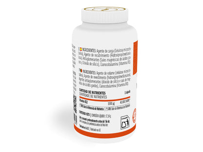 vitamina B12 Ingredientes